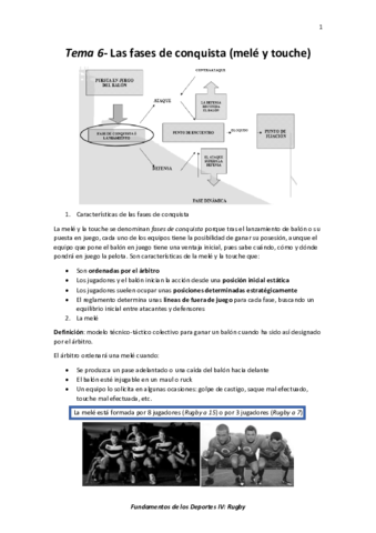 Tema 6- Las fases de conquista (melé y touche).pdf