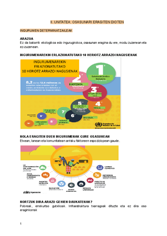 II.-UNITATEA-OSASUNAREN-INGURUMEN-MUGATZAILEAK.pdf