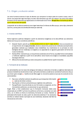 Celular-Temario.pdf