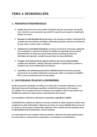 TEORIA-CUIDADOS-BASICOS.pdf