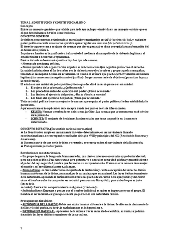 Constitucional.pdf