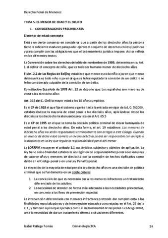 TEMA-5-DPM.pdf