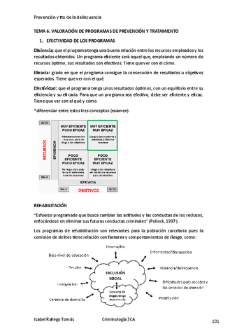 TEMA-6-PYT.pdf