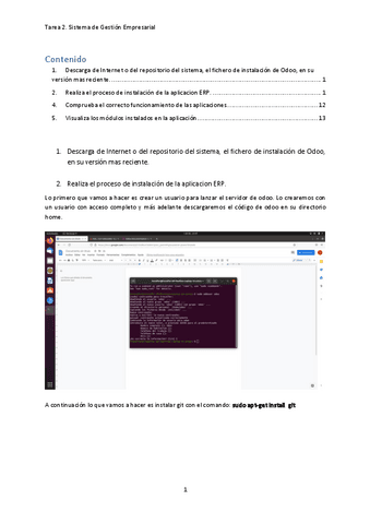 Tarea-2-SGE.pdf