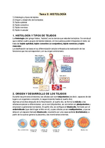 Tema-3-Histologia-JF-3.pdf