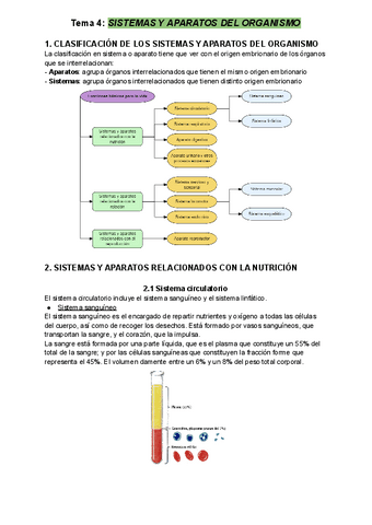 Tema-4-Sistemas-y-aparatos-del-organismo-2.pdf
