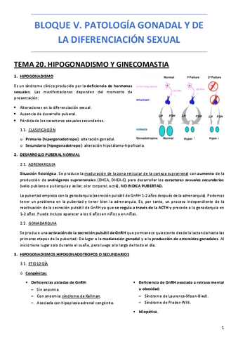 BLOQUE-V.-PATOLOGIA-GONADAL.pdf