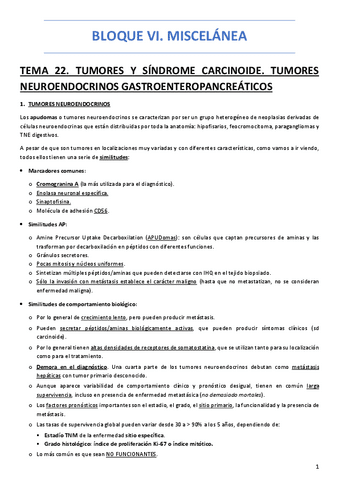 BLOQUE-VI.-MISCELANEA.pdf