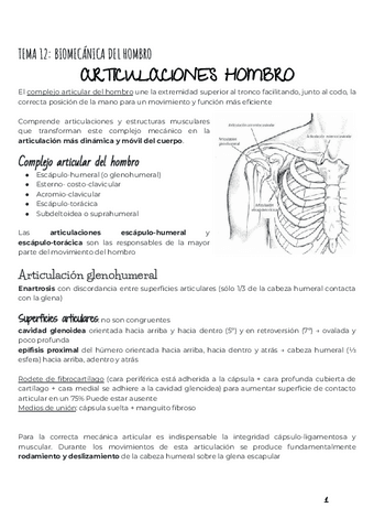 2.-BIOMECANICA-MIEMBRO-SUPERIOR-incluidas-aulas-inversas.pdf