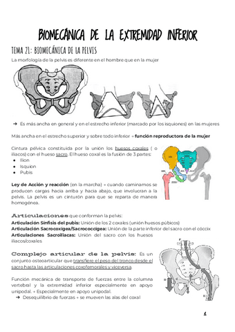 3.-BIOMECANICA-DE-LA-EXTREMIDAD-INFERIOR-David.pdf