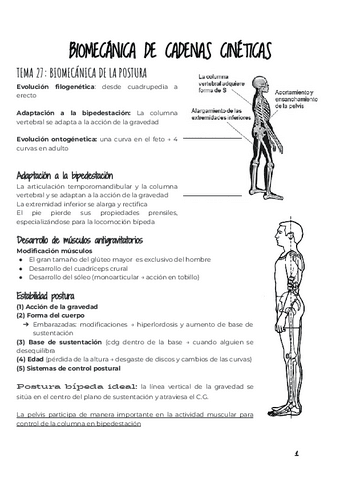 4.-BIOMECANICA-CADENAS-CINETICAS-David.pdf