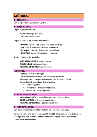 TEMA-2-BIOQUIMICA-GLUCIDOS-22-23.pdf