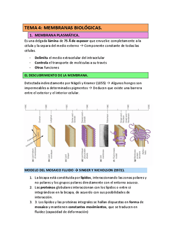 TEMA-4-BIOQUIMICA-MEMBRANAS-BIOLOGICAS-22-23.pdf