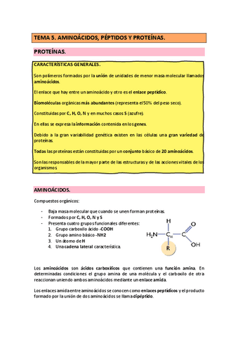 TEMA-5-BIOQUIMICA-AMINOACIDOS-PEPTIDOS-Y-PROTEINAS-22-23.pdf