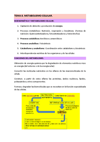 TEMA-8-METABOLISMO-22-23.pdf