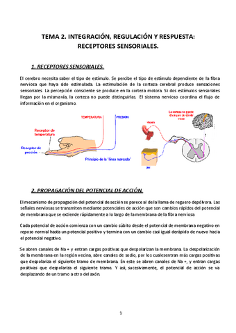 FISIOLOGIA-TEMA-2-22-23.pdf