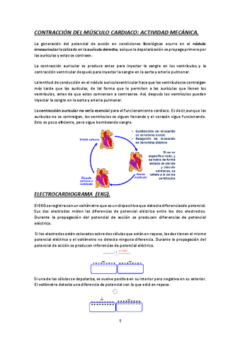 FISIOLOGIA-TEMA-3-2o-PARCIAL-22-23.pdf