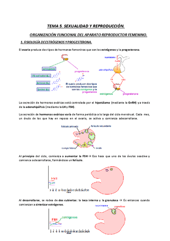 FISIOLOGIA-TEMA-5-FEMENINO-22-23.pdf