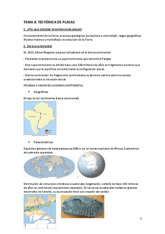 Tema-8.-Tectonica-de-placas.pdf