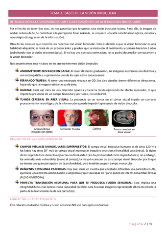 TEORIA.pdf