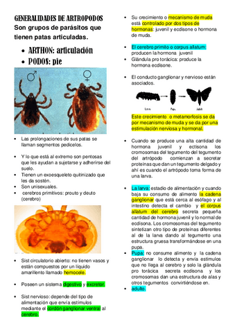 GENERALIDADES-DE-ARTROPODOS-anotaciones.pdf