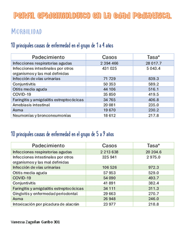 Perfilepidmiologico.pdf