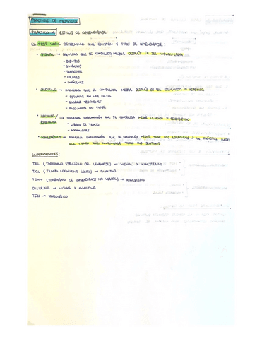 Practicas-Memoria-y-Aprendizaje-Humano.pdf