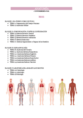 Tema-1-Organizacion-del-cuerpo-humano-y-Tema-2-Anatomia-celular.pdf