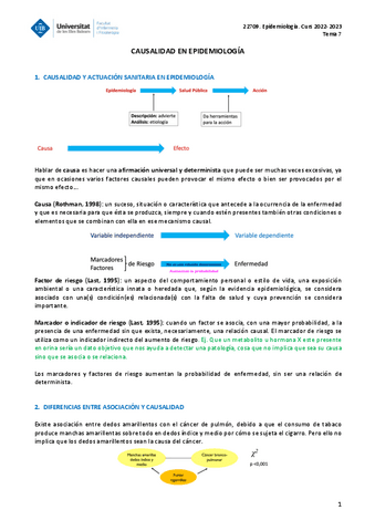 EPIDEMIOLOGIA-TEMA-7.pdf