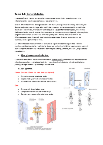 TEMARIO-ANATOMIA-1o-PARCIAL.pdf