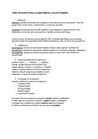 1-apuntes-T-1-2-3.pdf