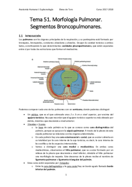 segmentos broncopulmonares