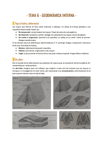 T6.-Geodinamica-interna.pdf