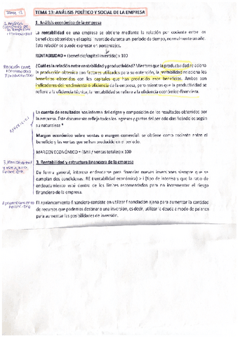 Tema-13.-Analisis-politico-y-social-de-la-empresa.pdf