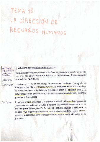 Tema-15.-La-direccion-de-recursos-humanos.pdf
