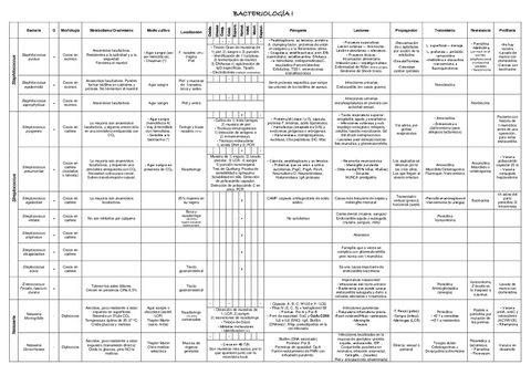 Bacterias1.pdf