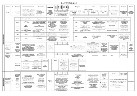 Bacterias2.pdf