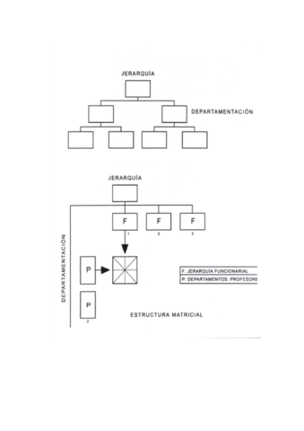 Modelos organizacion y gestion.pdf