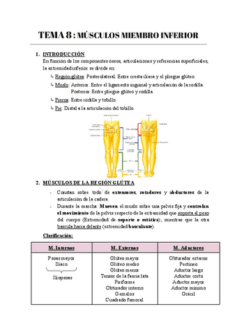 TEMA-8--MUSCULOS-MIEMBRO-INFERIOR.pdf