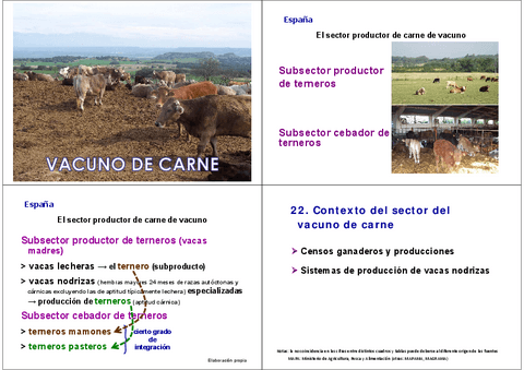 22.-Sector-vacuno-de-carne.pdf