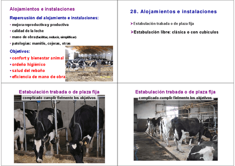 26.-Alojamientos-vacuno-lechero.pdf