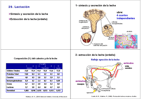 29.-Lactacion-y-ordeno-mecanico.pdf