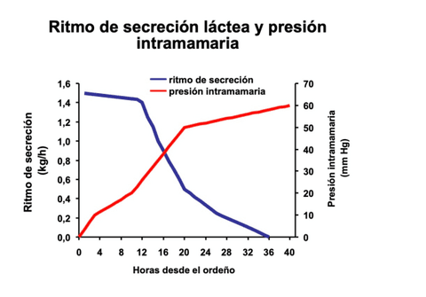 Ritmo-secrecion-y-bacterias.pdf
