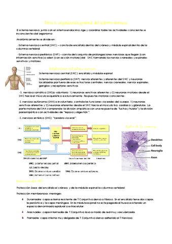 Tema-6.pdf