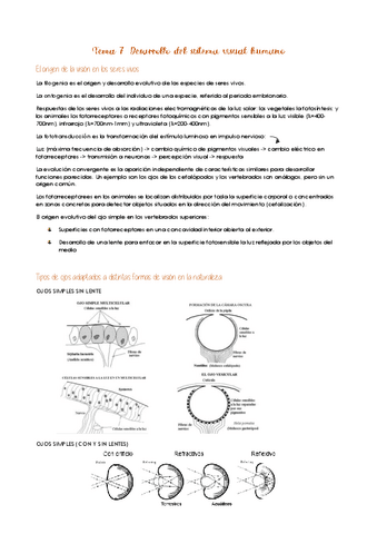 Tema-7.pdf