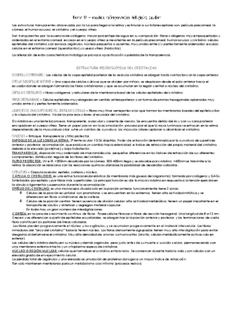 Tema-18-y-19.pdf