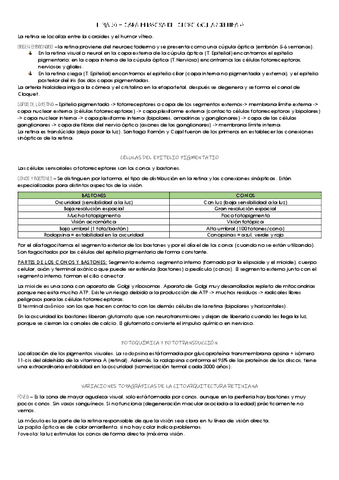 TEMA-20.pdf