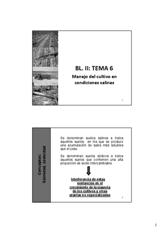 Tema-6.2-Salinidad.pdf