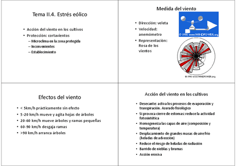 Tema-7-Viento.pdf