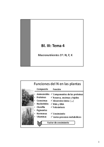 Tema-4-Macronutrientes-I.pdf